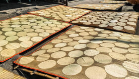 Seize the cultural essence of Vietnam’s artistry